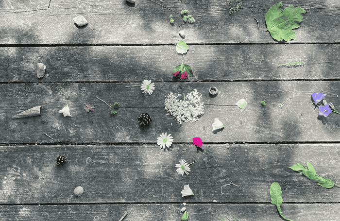 Behandlungen – Energetik & Schamanismus